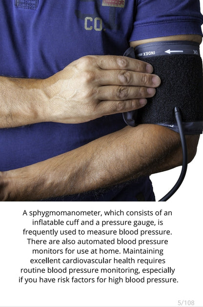 Daily Blood Pressure Log, Systolic Blood Pressure, Diastolic Blood Pressure, High Blood Pressure, Low Blood Pressure